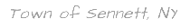 town of sennett