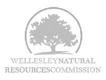 Wellesley - NRC logo